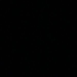 Meet your Posher, Noah